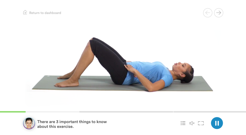 SpineZone physical therapy for back and joint pain. Physician approved.